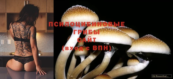 бошки Балабаново