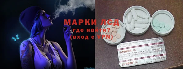 ГАЛЛЮЦИНОГЕННЫЕ ГРИБЫ Балахна