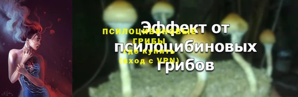 ГАЛЛЮЦИНОГЕННЫЕ ГРИБЫ Балахна