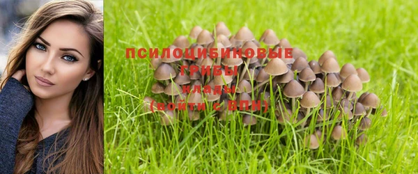ALPHA-PVP Баксан