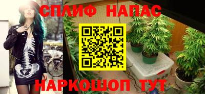 mdma Коммунар
