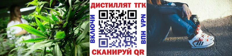 дарк нет состав  Унеча  ТГК концентрат 