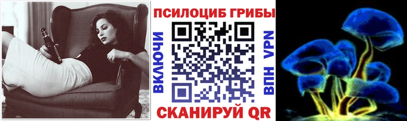 магазин    Унеча  кракен онион  Псилоцибиновые грибы Psilocybine cubensis 