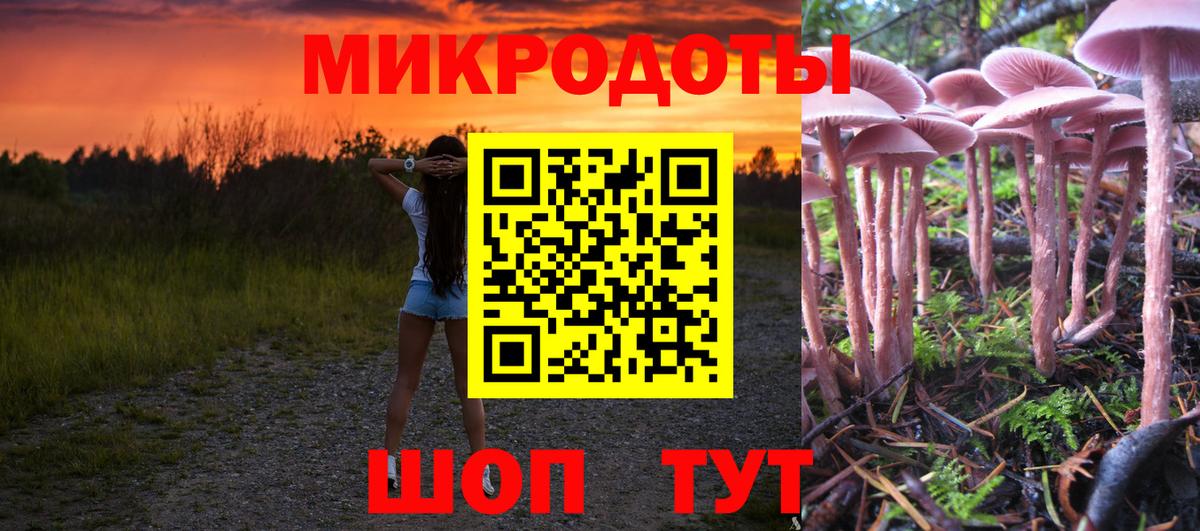 Псилоцибиновые грибы GOLDEN TEACHER  Вход с VPN  Унеча 